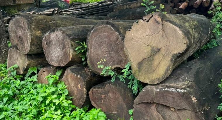 ALNAVAR TIMBERS ALNAVAR