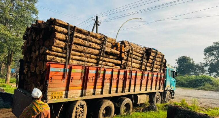 ALNAVAR TIMBERS ALNAVAR