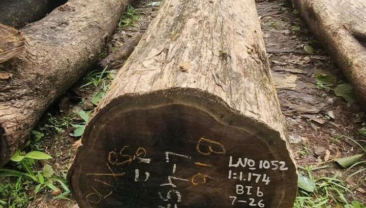ALNAVAR TIMBERS ALNAVAR