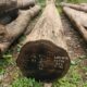 ALNAVAR TIMBERS ALNAVAR