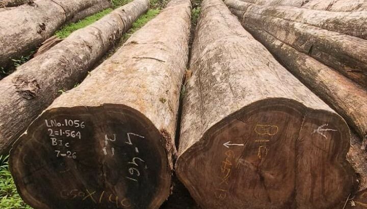 ALNAVAR TIMBERS ALNAVAR