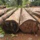 ALNAVAR TIMBERS ALNAVAR