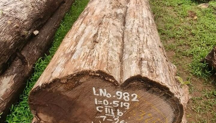 ALNAVAR TIMBERS ALNAVAR