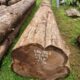 ALNAVAR TIMBERS ALNAVAR
