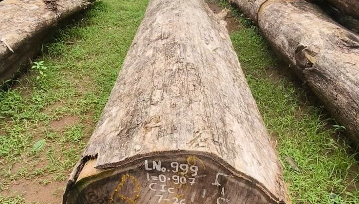 ALNAVAR TIMBERS ALNAVAR