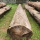 ALNAVAR TIMBERS ALNAVAR